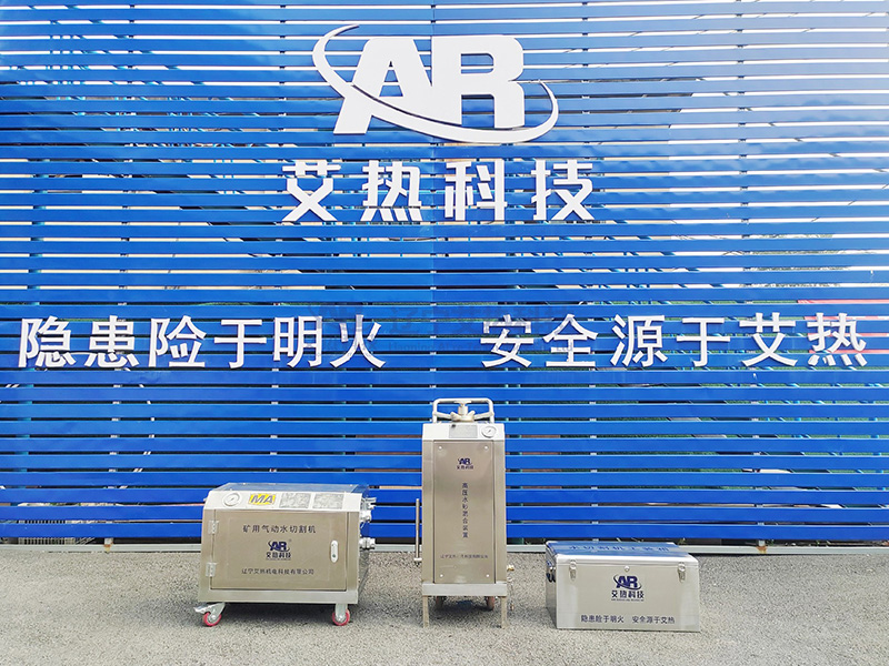 Pneumatic type